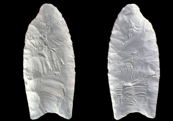 שהיו מחורצים באופן ייחודי להם. ראשי אבן שנמצאו בצפון קרוליינה, ארצות הברית | Carolina Biological Supply Co, Visuals Unlimited, INC., SPL מי עבר במסדרון?