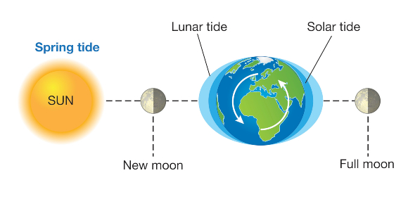 שילוב כוחות של הירח ושל השמש סייע לפעילות האדם לחילוץ האנייה | איור: SCIENCE PHOTO LIBRARY
