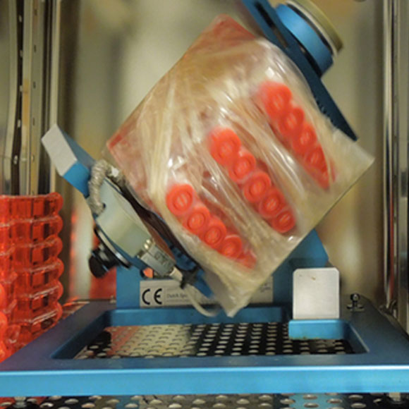 תרבית תאים במכשיר קלינוסטט. צילום מתוך Svejgaard et al., PLoS One