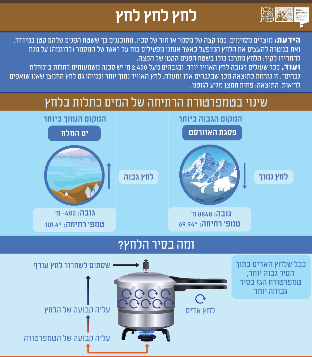 אינפוגרפיקה