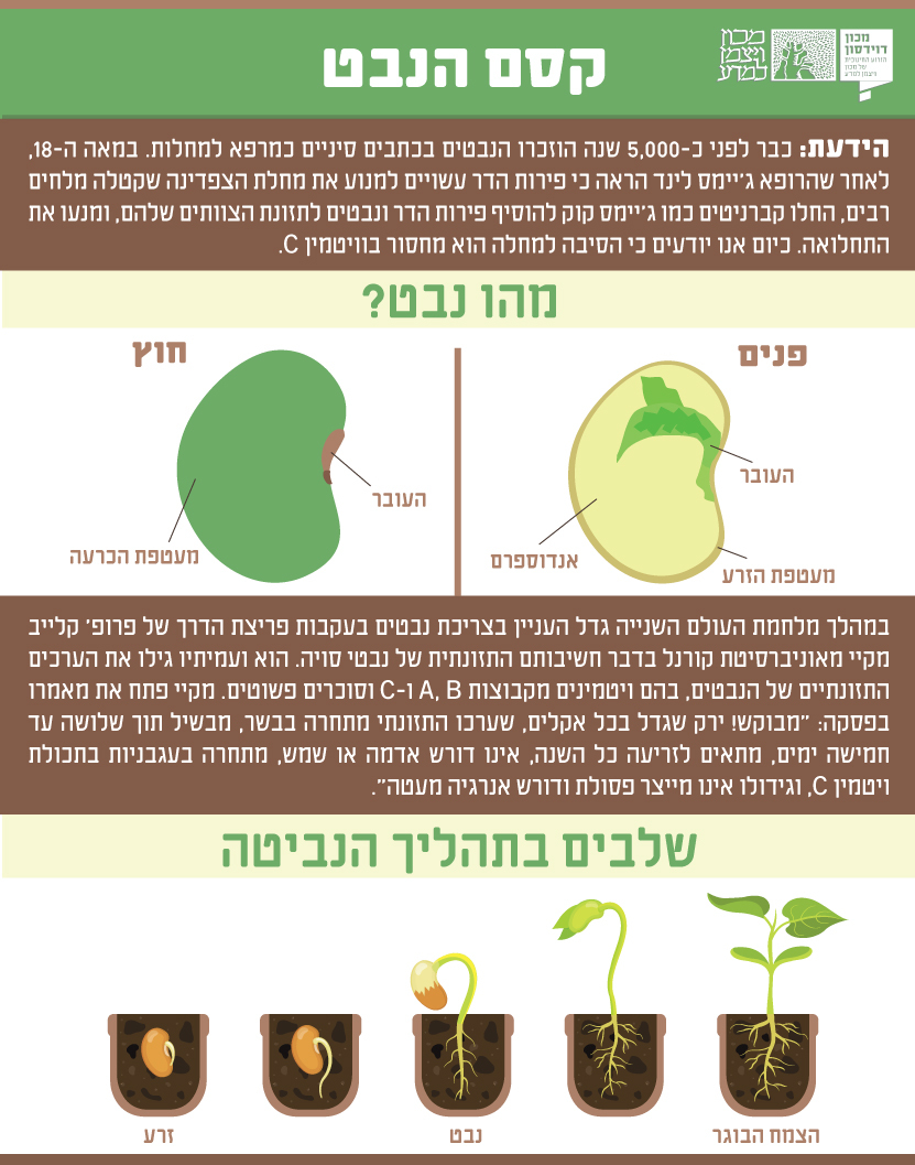 אינפוגרפיקה