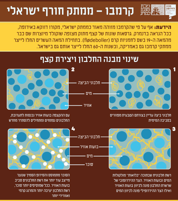 **אינפוגרפיקה**