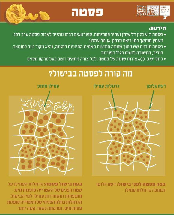 עיצוב: מריה גורוחובסקי