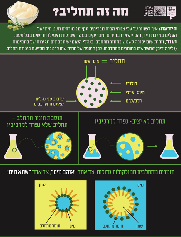 האינפוגרפיקה