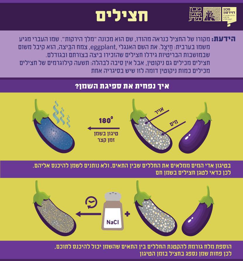 חצילי פרמז'נה אפויים עם גבינת פרמזן | צילום: Davide Zanin Photography, Shutterstock