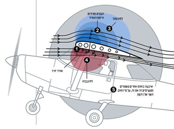 תרשים ארבעת רכיבי העילוי