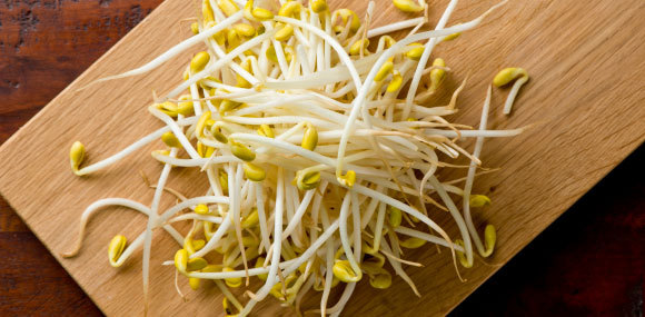 נבטי שעועית סיניים | צילום Marie Sonmez Photography, Shutterstock