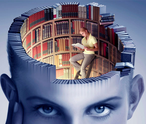 שימוש במידע שנאסף בתחום מדעי המוח מסייע לשיור האופן שבו לומדים ומלמדים. צילום: shutterstock