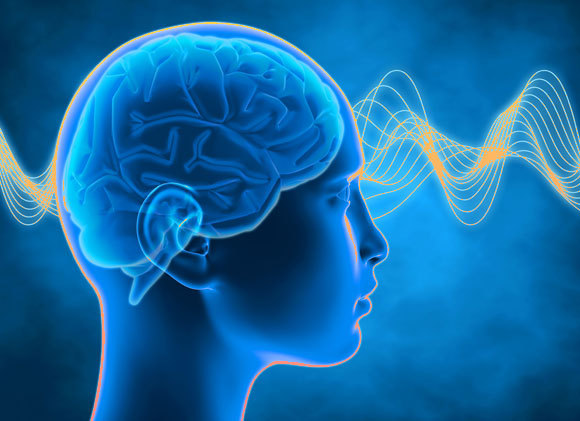 אילוסטרציה של גלי מוח | Shutterstock, Illustration Forest