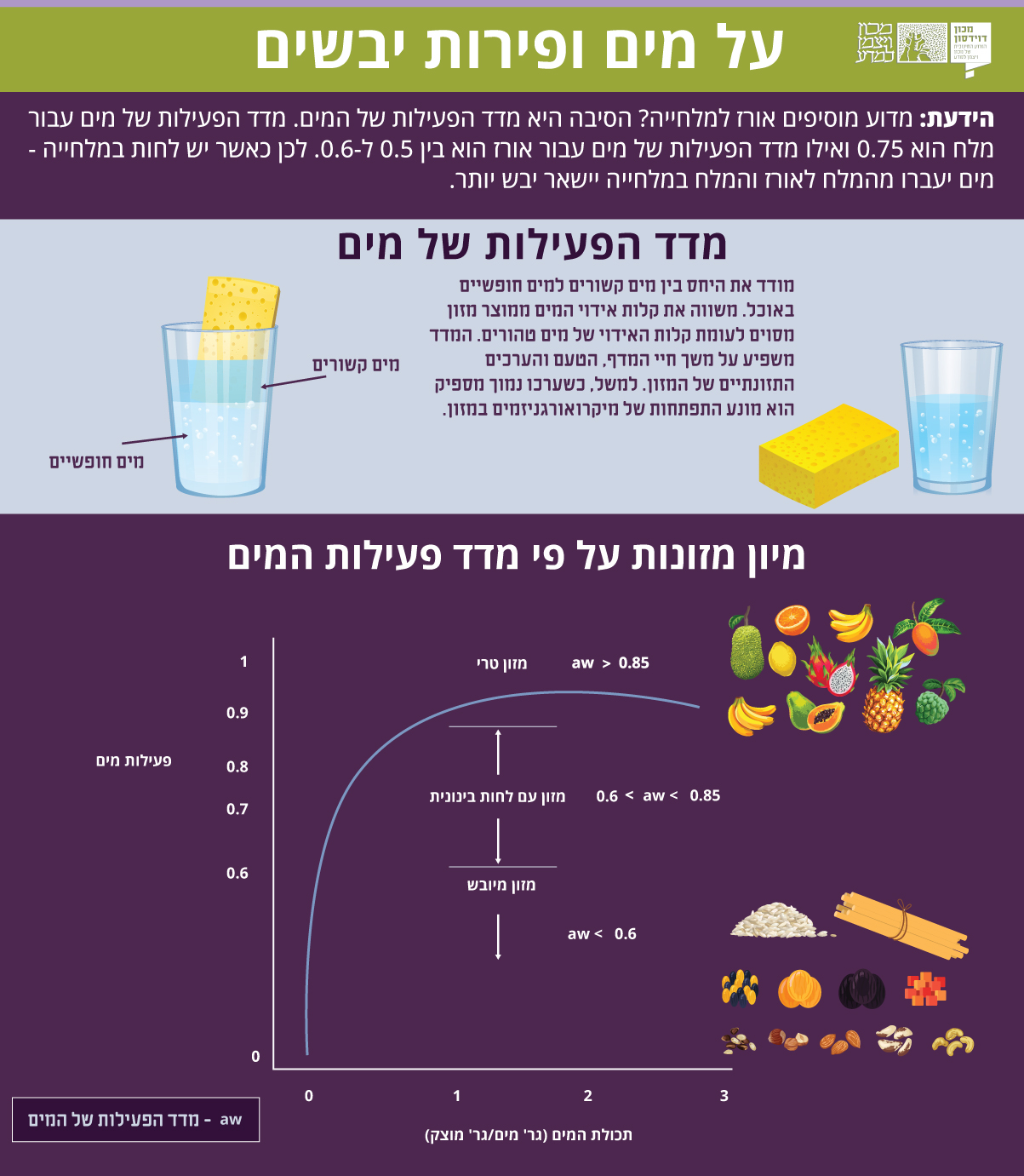 אינפוגרפיקה
