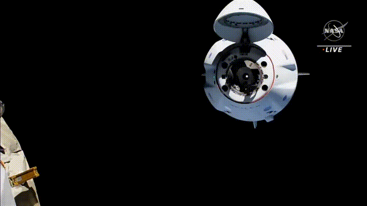 לטוס בחללית ממוחזרת. חללית הדרגון של משימת AX-1 עוגנת בתחנת החלל בביקורה הקודם | צילום: NASA