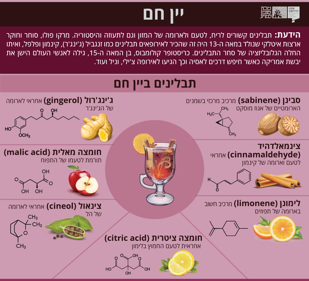 אינפוגרפיקה