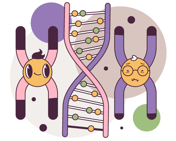 כיום אין עדיין טיפול להארכת טלומרים, אך נעשים מחקרים רבים בנושא | Shutterstock, Inspiring