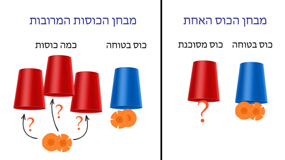 שני ניסויים הכוסות