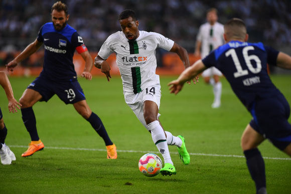 נזקי גדש במשחק ליגה בגרמניה | צילום: Vitalii Vitleo, Shutterstock