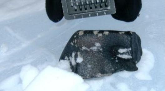 בינתיים יש רק דגם. המודל של תחנת החלל הרוסית העתידית שהוצג במוסקבה | צילום: Roscosmos