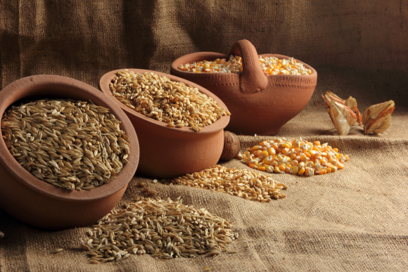 חיטה, אורז ותירס. מכלים עם גרעינים של שלושת הדגנים