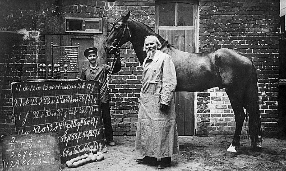 הסוס אכן למד, אך לא באמת את כללי החשבון שיאפשרו לו להכליל. וילהלם פון אוסטן והנס החכם, 1908 | מקור: ויקיפדיה, נחלת הכלל