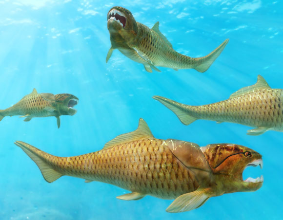 עד היום, המאובנים העתיקים ביותר של בעלי לסתות תוארכו לתקופה שלפני כ-425 מיליון שנה.