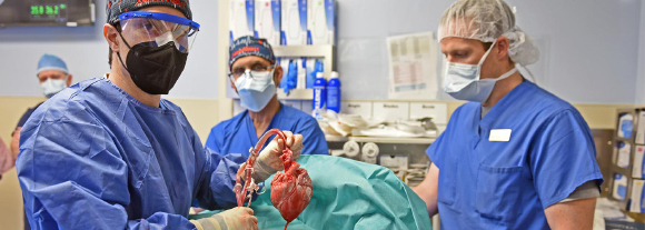 שתלת לב חזיר מהונדס באדם, באפריל השנה | University of Maryland School of Medicine