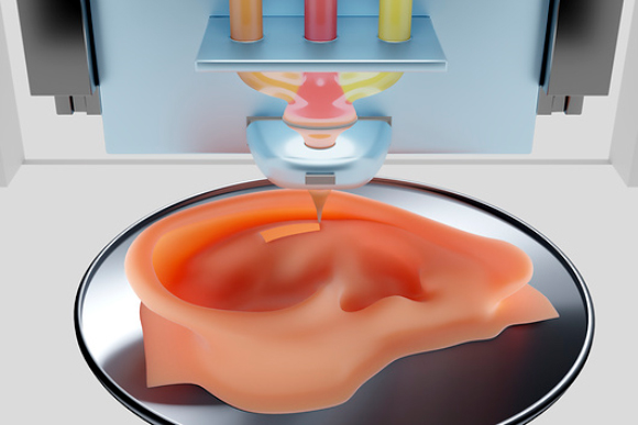 אילוסטרציה של הדפסת אוזן | Patrick Landmann, Science Photo Library