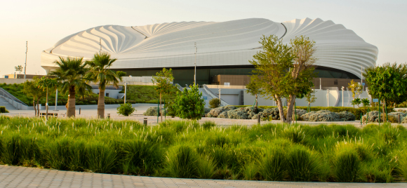 עצים וצמחייה אחרת סביב אצטדיון אל-ג'אנוב, אל-וכרה, קטאר | צילום: Fauzan Fitria, Shutterstock