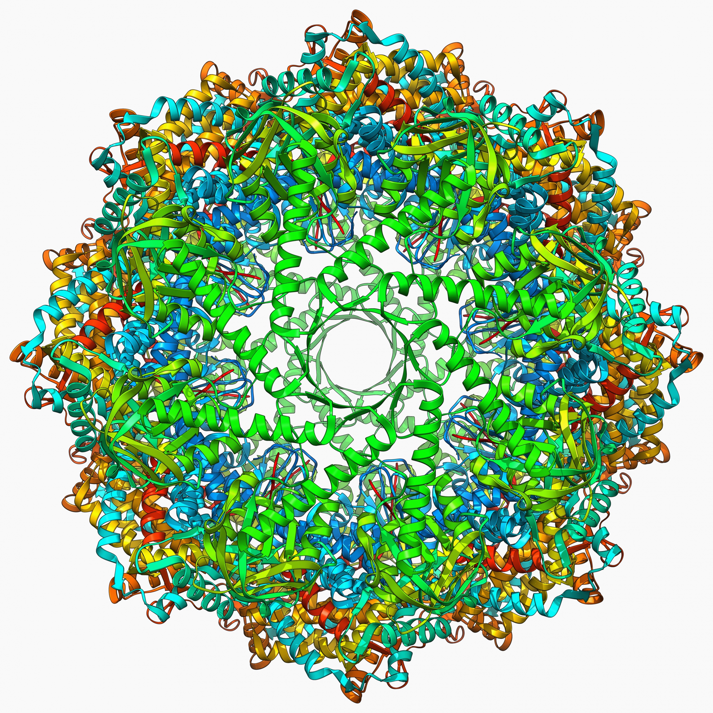 מבנה תלת ממדי של חלבון שפרונין (Chaperonin), מקור: SPL