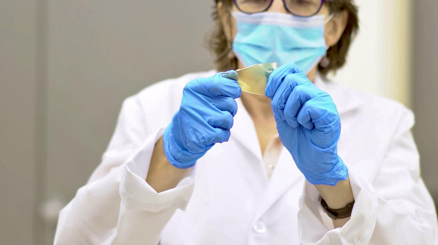 (Courtesy Texas A&M University )