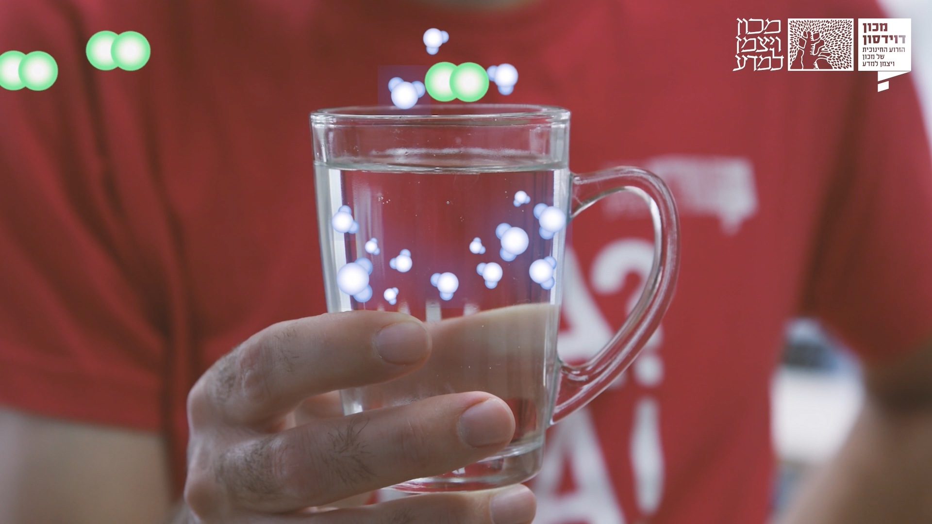 המולקולות באוויר (בירוק) שזורם מעל כוס מים – מתנגש במולקולות המים המתאדות ומונע מהן ליפול חזרה לכוס | צילום: עידן גליקזליג, אנימציה: אנדריי לב-ארי