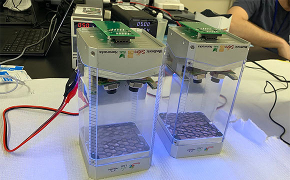 מכלי הגידול עם הג'ל הייחודי להנבטת החומוס | צילום: Aviv Labs