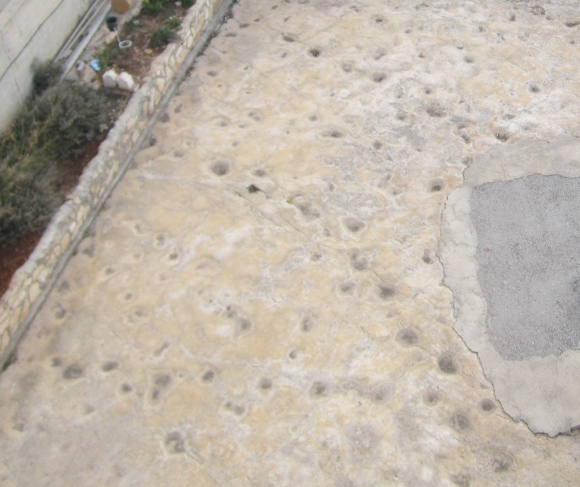 מסלולי העקבות באתר | צילום: עבדאללה אוויס מתוך מאמר המחקר