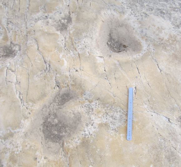 תקריב של שתי גומות | צילום: עבדאללה אוויס מתוך מאמר המחקר