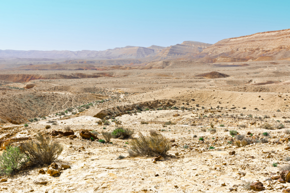 מדבר יהודה | hermitis, Shutterstock