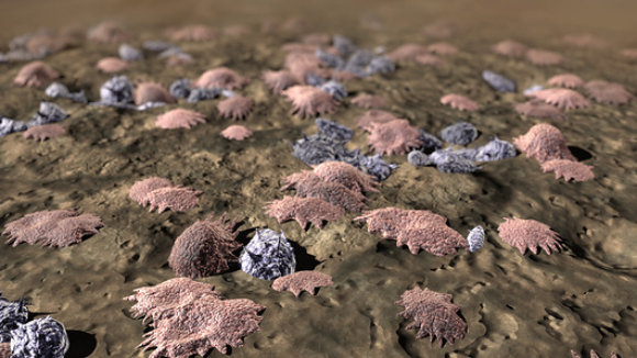 אילוסטרציה של תאים אלו על פני העצם | Orthoclick, Science Photo Library