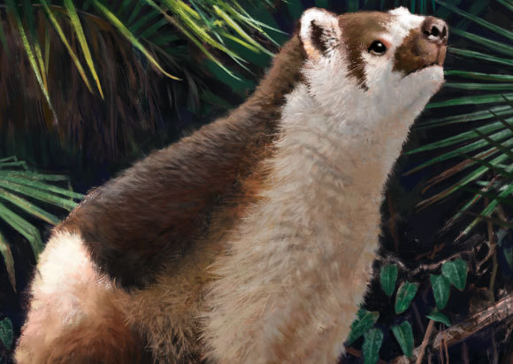 לפנטולמבדה היה היריון ארוך והוולדות הומלטו בעלי פרווה ושיניים, מה שאיפשר להם להתבגר במהירות. כך, אולי, נראה פנטולמבדה בתמודון | H Sharpe, University of Edinburgh