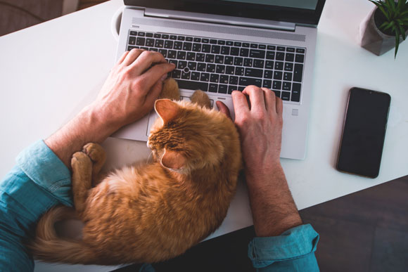 עולם העבודה משנה צורה | צילום: Sharomka, שאטרסטוק