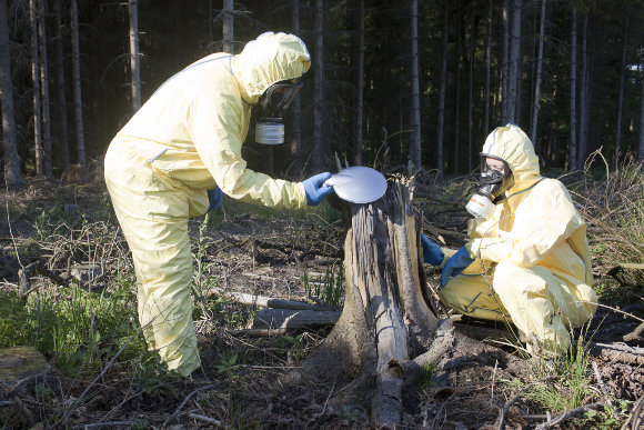 בדיקת רדיואקטיביות באזור מזוהם | צילום: Shutterstock