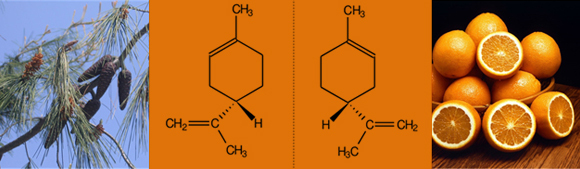 תמונות ראי: לימונן ימני נותן ריח תפוז, לימונן שמאלי - ריח אורן | מקור: ויקיפדיה