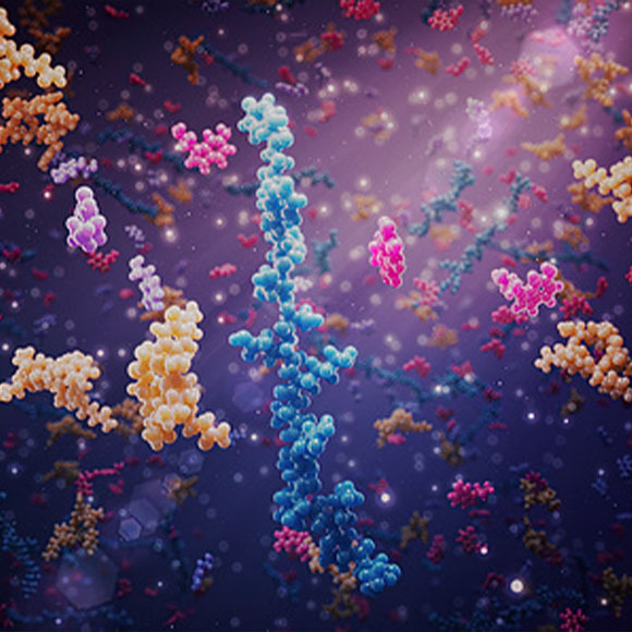 Plays a role in many emotional processes. Serotonin and other neurotransmitters | Illustration: Helix Animation / Science Photo Library