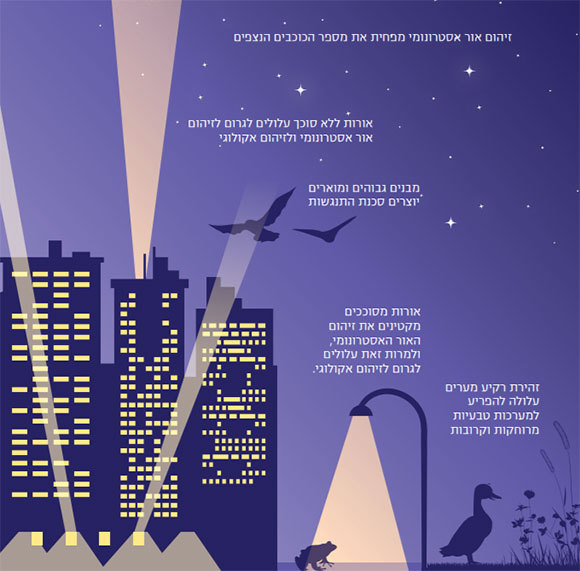 זיהום אור אקולוגי ואסטרונומי, מתוך דו"ח של האגודה הישראלית לאקולוגיה ומדעי הסביבה