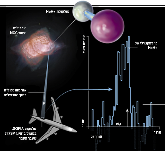 תרשים החיפוש אחרי המולקולה