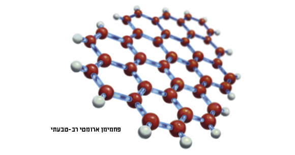 פחמימן ארומטי רב טבעתי