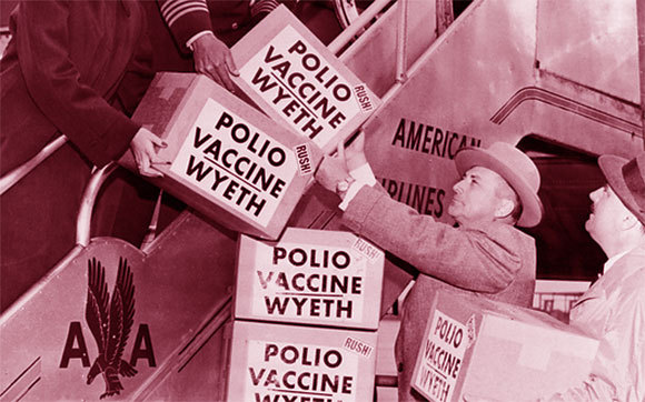 מבצעי החיסון נגד פוליו הכחידו שניים מתוך שלושת זני הבר של הנגיף. משלוח חיסונים לאירופה, 1955 | מקור: Universal History ArchiveUIG / Science Photo Library