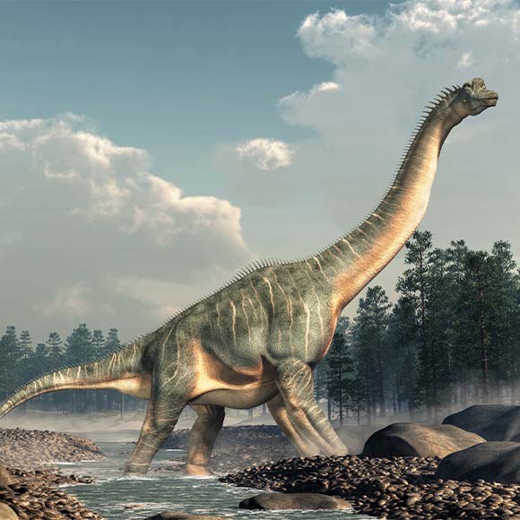 ברכיוזאורוס, אחד מהסאורופודים הגדולים | Dotted Yeti, Shutterstock