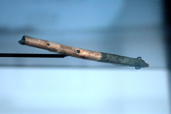 אחד החלילים מגרמניה | ויקיפדיה, Marco Ciaramella