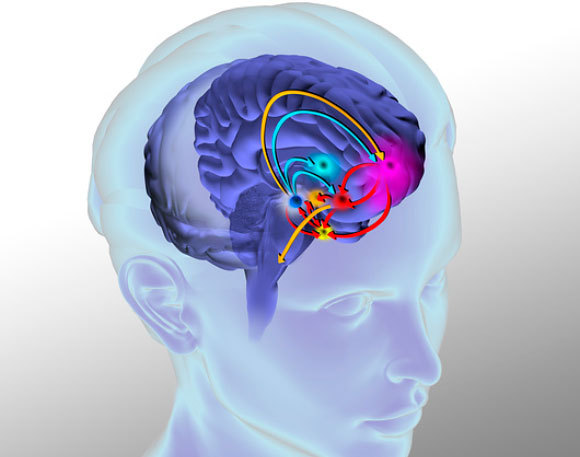 אילוסטרציה של המערכת | Fernando Da Cunha, Science Photo Library