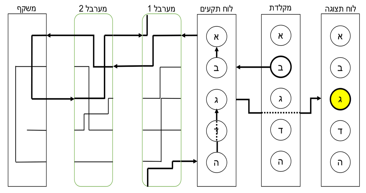 לוח התצוגה | איור: ליאור ויצהנדלר