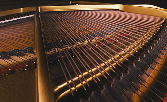A grand piano | Matthew Hamlyn, Shutterstock