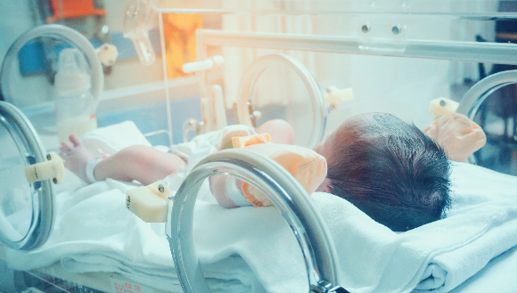 תינוקת שנולדה בלידה מוקדמת באינקובטור בפגיית בית חולים | צילום: Kwangmoozaa, Shutterstock