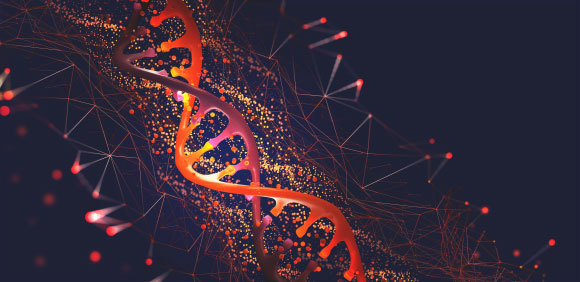 אילוסטרציה של מולקולת DNA | מקור Yurchanka Siarhei, Shutterstock